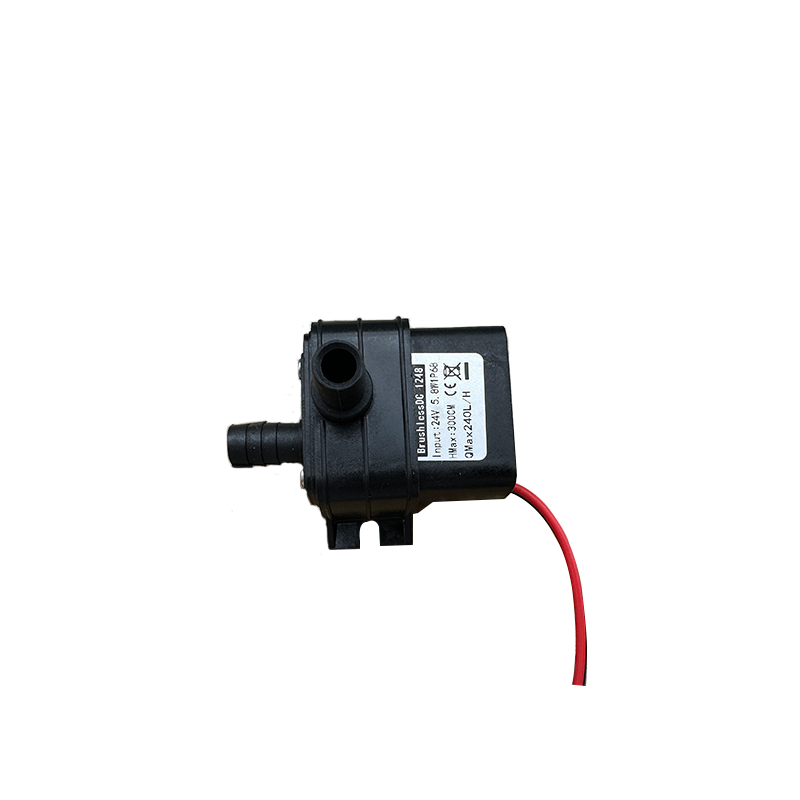 Taşınabilir DC 12V 4.8W 24V 5. - Mini Peristaltic Pump 12V incelemesi ve fiyatı
